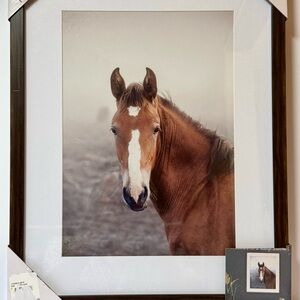 Horse Art Framed Glassed Print 15x19 New